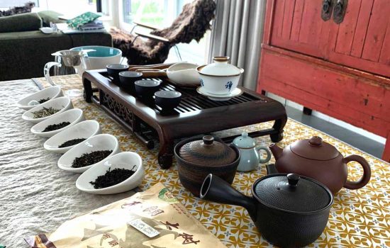 Thee-Topic-workshop-Groningen